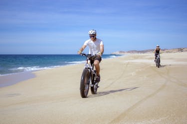 Baja Desert and Beach e-bike Tour